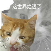 �Ҷ��޽��� �����ܲ���