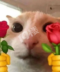 [�񾯸���]9��෢���ֻ����� ����������1����ҵ��ˣ�