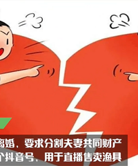 �����ӽ����� ���޹�ͬ�Ʋ� ��ý���˺���η����أ�