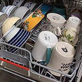 ϴ�����������