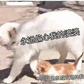 ���ű�Ů̫�Ҹ���