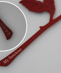 ʮ����Ҳ����ӵ�г������ʸе�õ�廨��ǩ