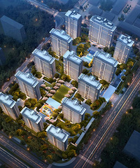 �����衤����������