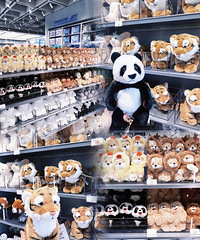 �����׼�X11���������Ϻ���أ�