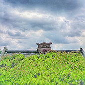 ��ת�����Щʱ��