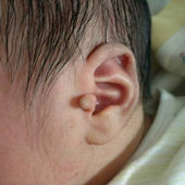 ����Ҫ�������г�����