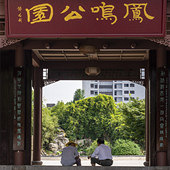 ��¼���ߵ�����