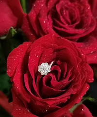 40�ִ�Χ���ܼ���һ�����ҵĶ������