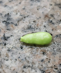 ���޳Ե�AD�Ŀ� �Ұ���������̨�� ��ɹ�����궼û���ڻ�