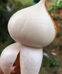 ����֮��ԵĶ���ǧ��ٹ֡��Ҷ�������Լ���