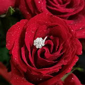 40�ִ�Χ��Ķ������