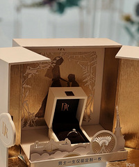 ����������DR��ʿһ��ֻ�ܶ���һö ���Ҹ��ܱ��˹滮��δ����