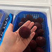 ��ͷ�ܴ���ɾ���÷