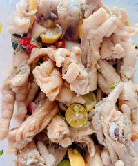 ����������צ