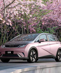 ��û���ʺ�Ů�����ĵ糵���Ƽ�