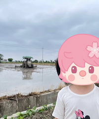 ������������ͷ�۵����� Сʱ���̷۹��� ���ڼ�����ţ�̹���