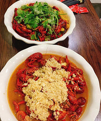 �������С��Ϻ��ʮ����vs����