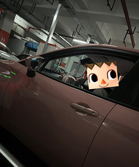 �㶼������Դ���� ������ÿ��յ���