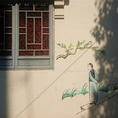 ��Ӱ�µ�����