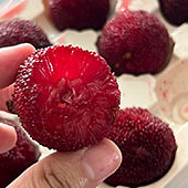 �ɾ���÷��С֭��