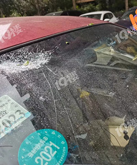 [���Ǹ߿�����]����ǲ���ţ��ƿ��ֱ�Ӱѳ�����������