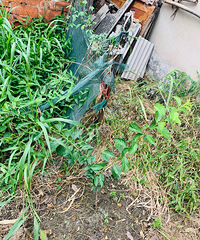 [����]͵����͵������ʲô ����ֱ��͵���ҵ�����..��