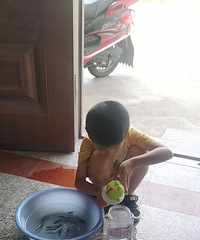 һ����پ�����������ʱ���������Ӳɲɡ�С��ץץ...