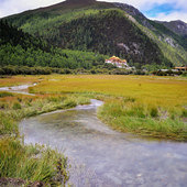 ��һ����Щɽˮ