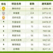 ����ֻ������