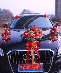 ���񳵶��б�Ҫ�ú����𣿻�����ͨ�ĺ�ɫ���Ϳ�����