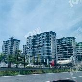 ����Ǻ�������԰�ɣ�