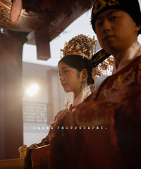 �����Ƭ���� ����ʽ�Ļ������� �Ҷ������⣡