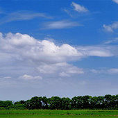 �ո����� �ĸ���