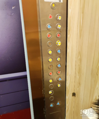 ��С����̫��Ƥ�� ��֪������С������û�������ĺ��ӣ�