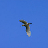 տ������� ���طɹ�