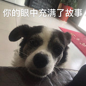 ��ë�����Ҹ�����