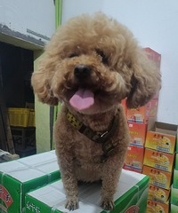 ɹɹ�Ҽ��ȳ� �����ǲ��ǿ��Կ�����԰��ѽ��