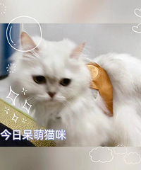 ɹ�޿�ħMM 27���ճ�����10���� ���� ���� �ڴ�������