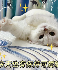 ɹ�޿�ħMM 27���ճ�����10���� ���� ���� �ڴ�������