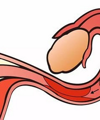 ԭ����ô���˶����������� �ִ��˵������ĸ����ڳ������⣿