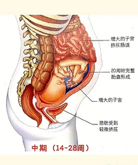 4��ͼ ���㿴��������ж����� ��ͬ�����б�Ҫ�˽�һ��