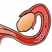 Խ��Խ�������������