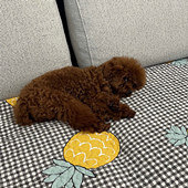 �����������޶��з�