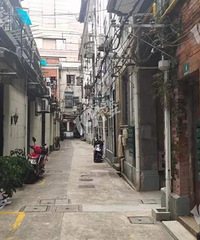 [����]�������м� ��ס�÷� �����÷���