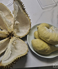 51%�����ʣ���ֱ����������