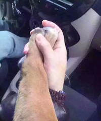 ��һ�����������������ĸ����Ƶ� �����ʽ�~��ƪ���ǲ�������