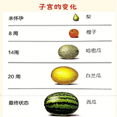 �����ж�����