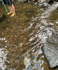 ��ȫ����ˮ���ԡ������ݾ�Ϫʮ�˽������ղ�ˮ�Ŀ���||