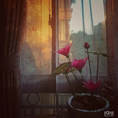 �������ڼ���һ��