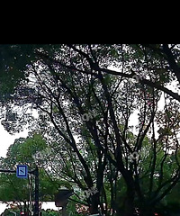 [����]�����ƿ���й����ҳ�ֱ�����ˣ���û����ʶ�ģ���